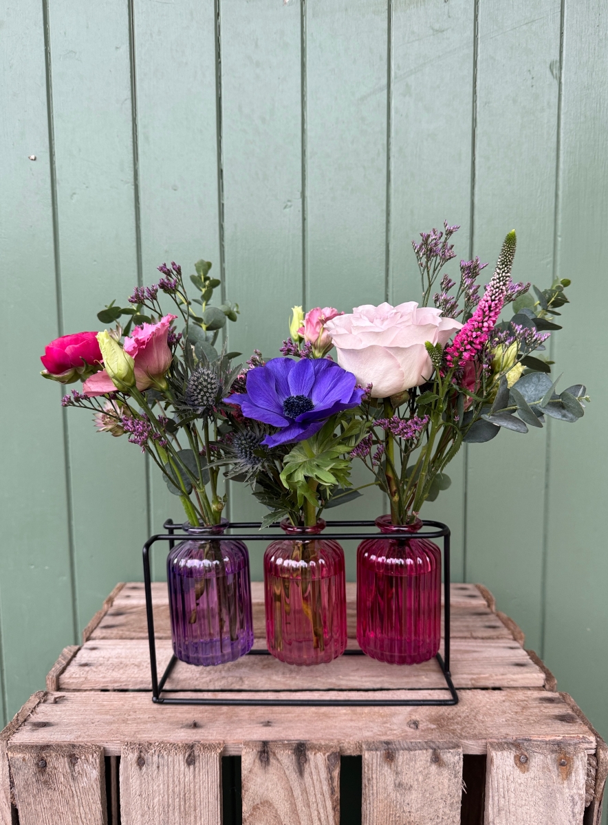 Vase Trio